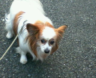 13�΂ɂȂ��ā@�����C������