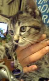 ����񂿂��