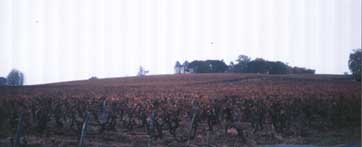 ch.d'Yquem(8k)
