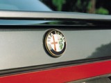 alfa_06t.jpg