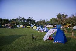 �L�����v��