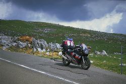 �l���J���X�g�̎ʐ^