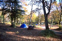 �����L�����v��