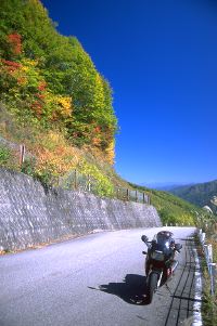 �H�̓V����