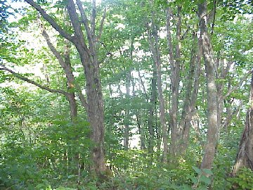 �̋��̎R�u�O�m�x�v