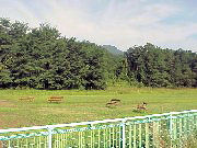 �Z�ɐՂƍZ��