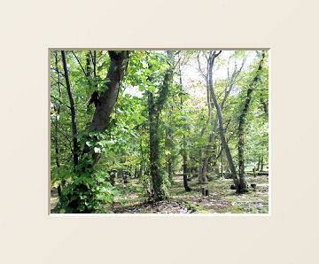 �\�a�c�Θa���