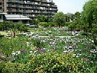 �x�؏Ҋ���04/5/29(�y)���̗l�q