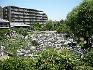 �x�؏Ҋ���04/6/4(��)���̗l�q