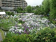 �x�؏Ҋ���04/6/6(��)�[�����_�̗l�q