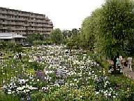 �x�؏Ҋ���04/6/12(�y)�[�����_�̗l�q