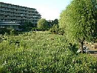 �x�؏Ҋ���04/6/22(��)�[�����_�̗l�q