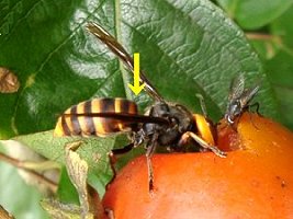 �R�K�^�X�Y���o�`