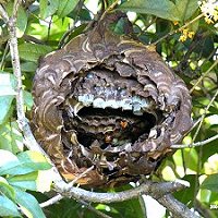 �R�K�^�X�Y���o�`�̑�