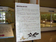 ���p�s�z�R���j��