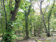 �\�a�c�Θa���