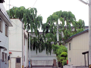 �V�_���J�c��