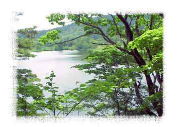 �����������������