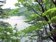 �����������������