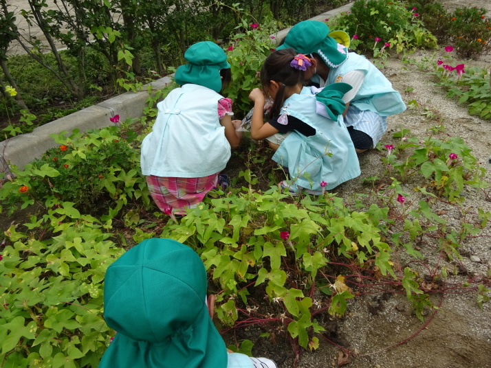 清風幼稚園 年間行事9月